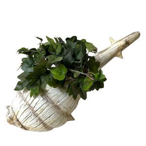 UNIQUE Conch Shell Planter Nautical Sealife Coastal Beach House Decor Italy 36/2